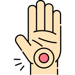 Muñeca